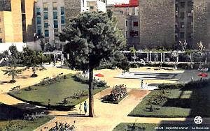 ORAN - SQUARE CAYLA - ROSERAIE